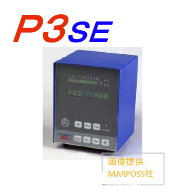 P3SE